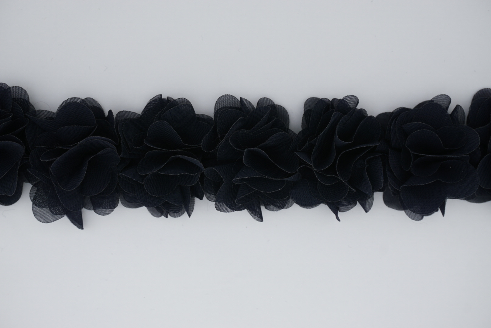 pass. abb. h 4 cm col 436